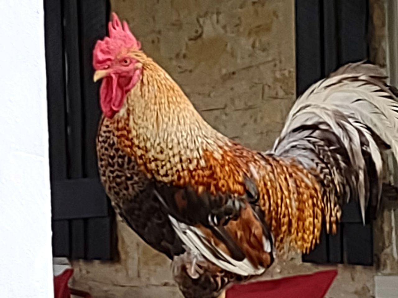 Riverside Cabin Rental near St. Louis, Missouri