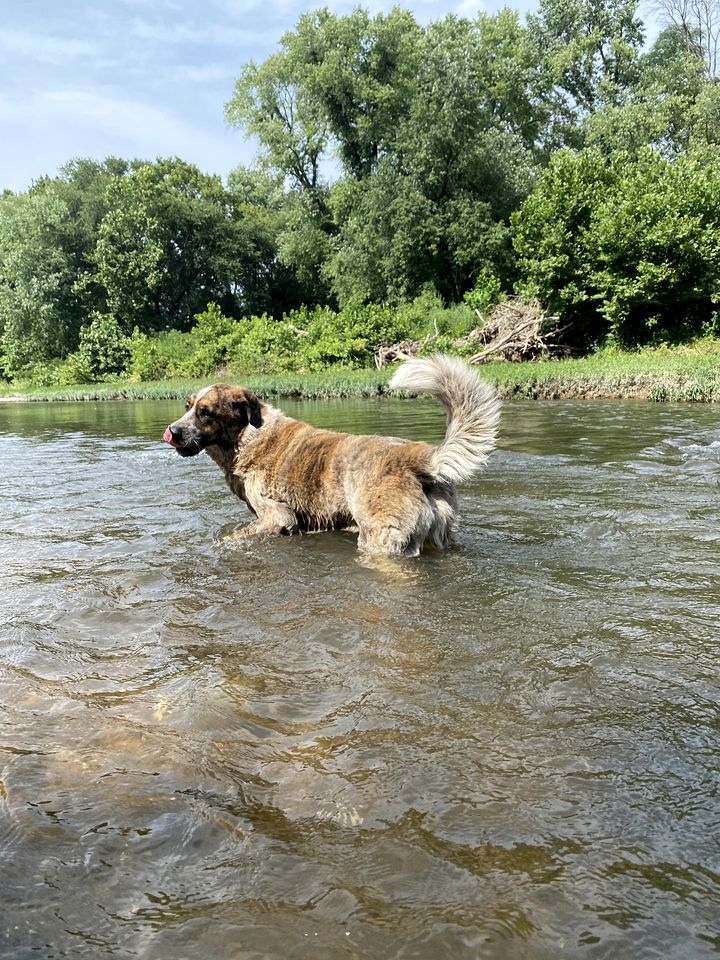 Riverside Cabin Rental near St. Louis, Missouri