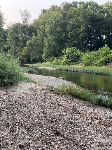 Cabins (Leslie, Missouri, United States of America)