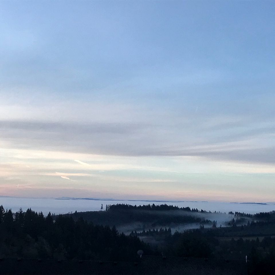 Luxury Vacation Rental near Dundee in Heart of Oregon Wine Country