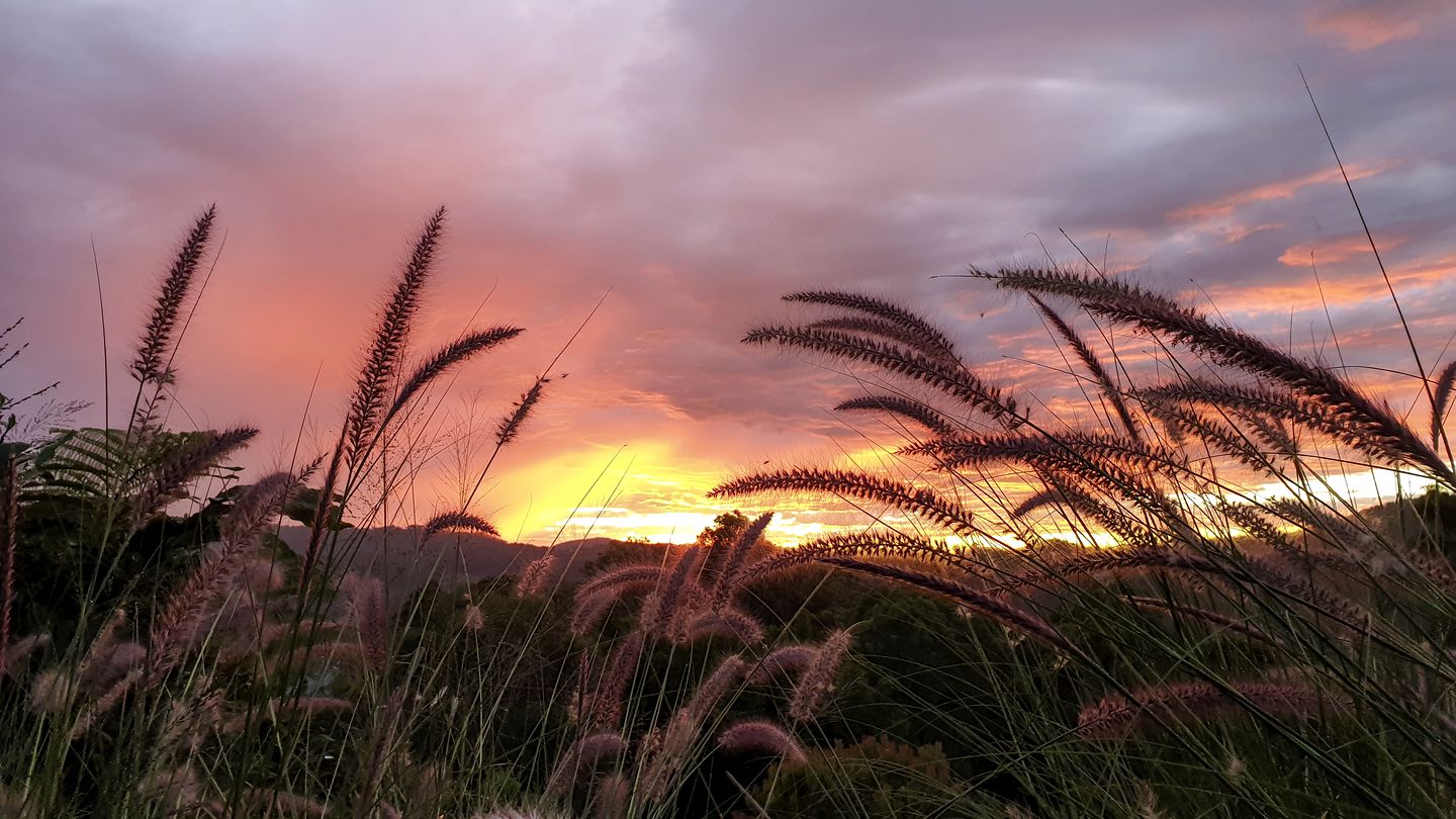 Incredible Family-Friendly Cottage with Luxurious Hot Tub in Wongawallan, Queensland
