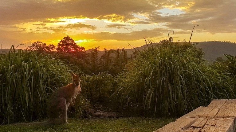 Vacation Rentals (Wongawallan, Queensland, Australia)