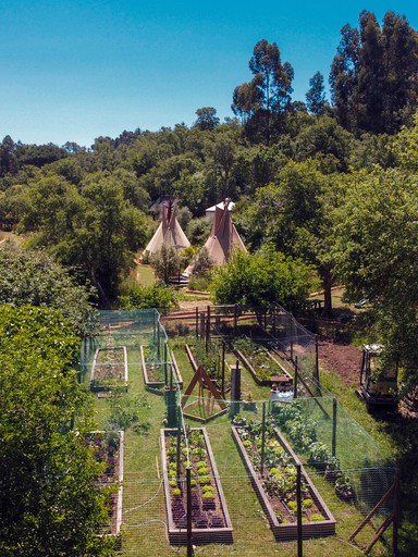 Cabins (São Teotónio, Beja District, Portugal)