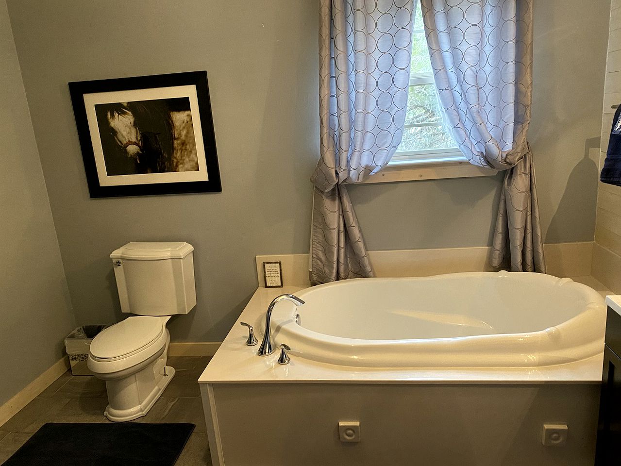 Charming Pet-Friendly Vacation Rental with a Private Pool in Hays County, Texas