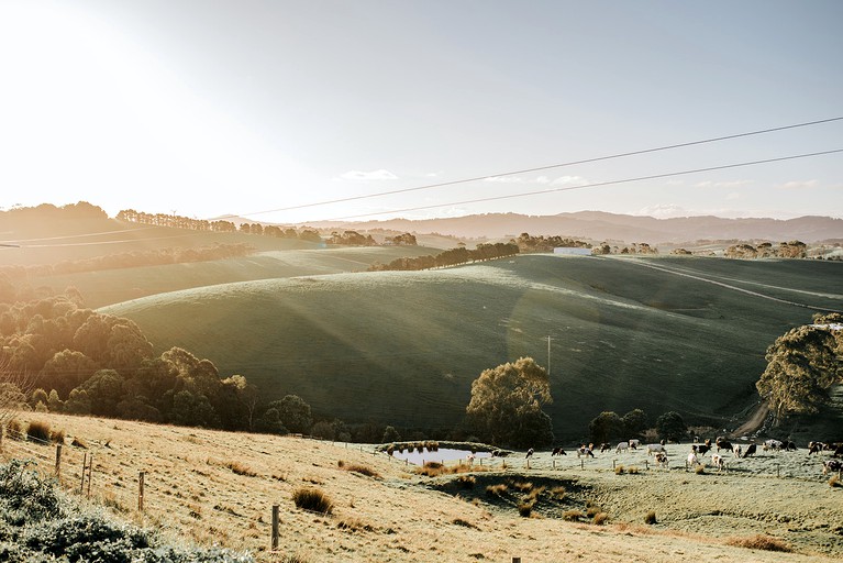 Cabins (Australia, Agnes, Victoria)