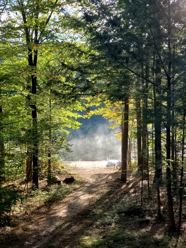 Cabins (United States of America, Denmark, Maine)