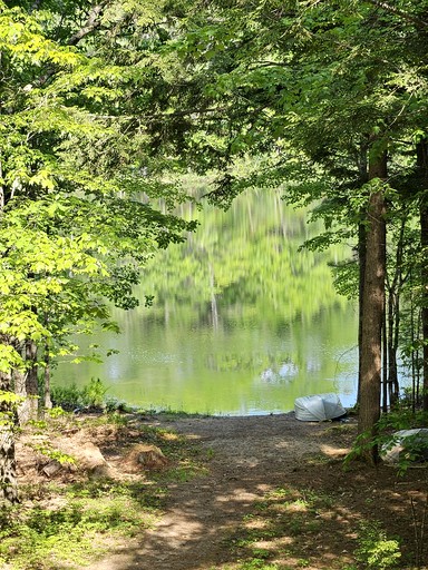 Cabins (United States of America, Denmark, Maine)