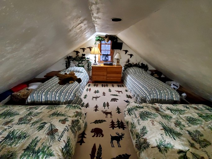 Cabins (United States of America, Denmark, Maine)