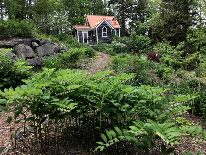 Cabins (Canada, Bridgewater, Nova Scotia)