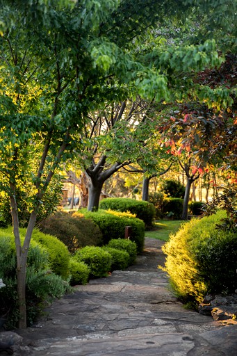 Cottages (Australia, Mansfield, Victoria)