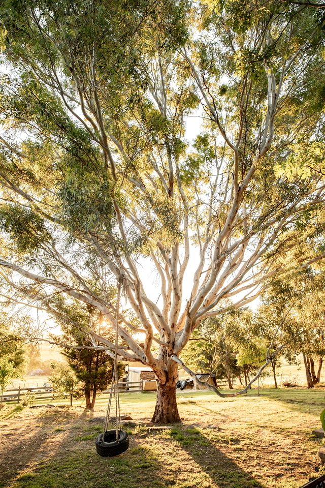 Charming Countryside Cottage Rental in Mansfield Mount Buller, Australia