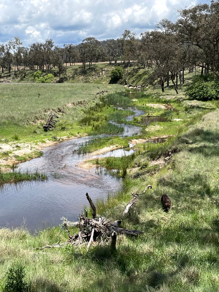 Self-Contained Cottage Rental at a Countryside Bed and Breakfast near Tenterfield, New South Wales, Australia