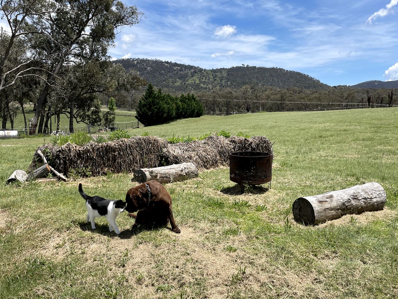 Self-Contained Cottage Rental at a Countryside Bed and Breakfast near Tenterfield, New South Wales, Australia