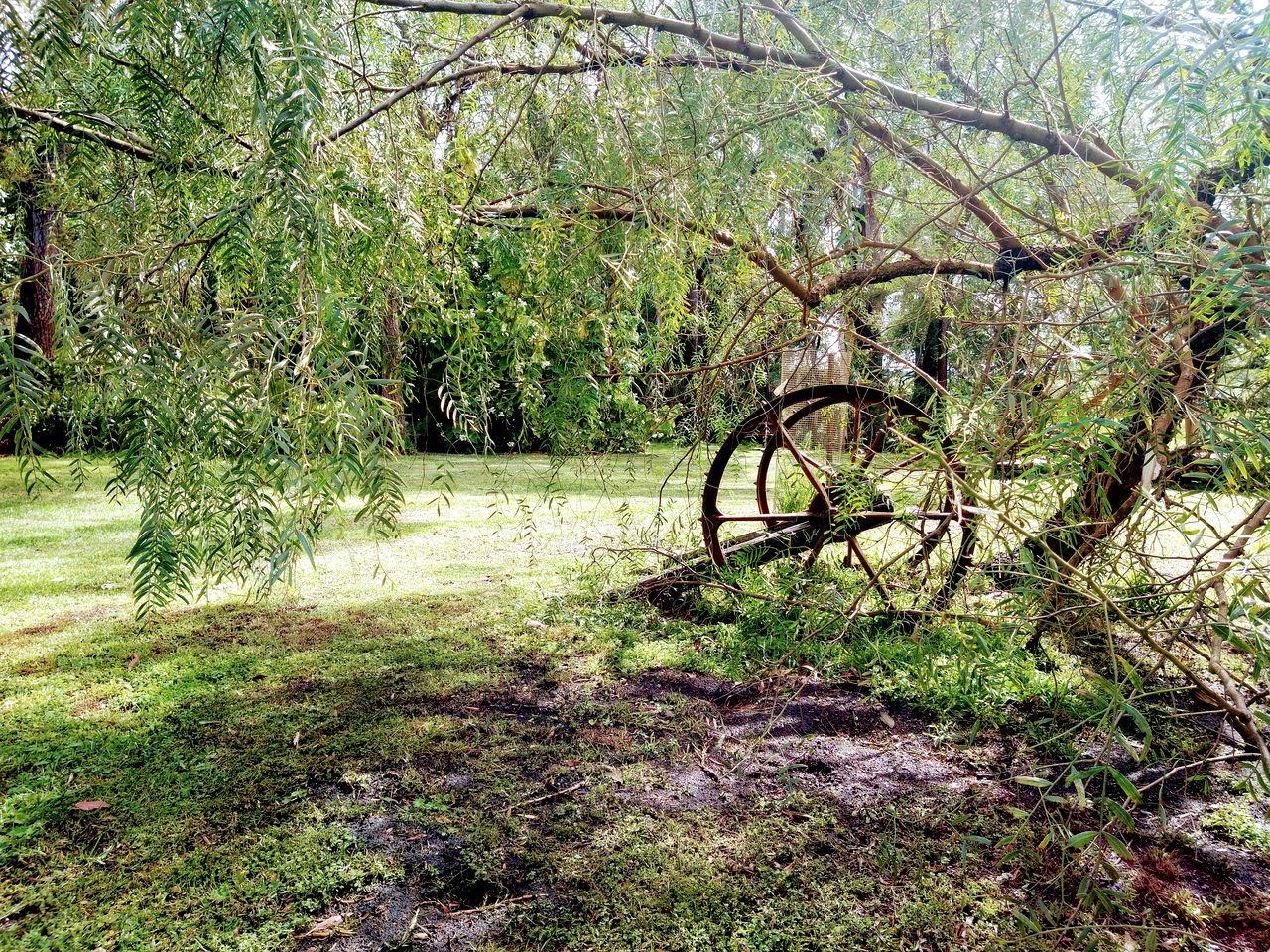 Charming Cottage Rental Tucked Away in the Countryside near Mount Gambier, South Australia