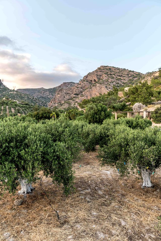 Charming Cottage for Romantic Getaway in Crete, Greece