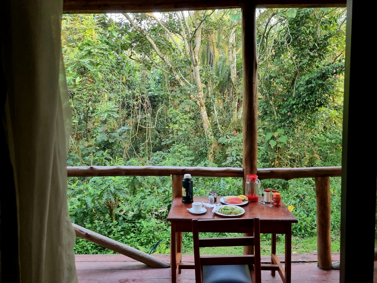 Unique Cabin Rental at Entrance to Kibale Forest National Park, Western Uganda