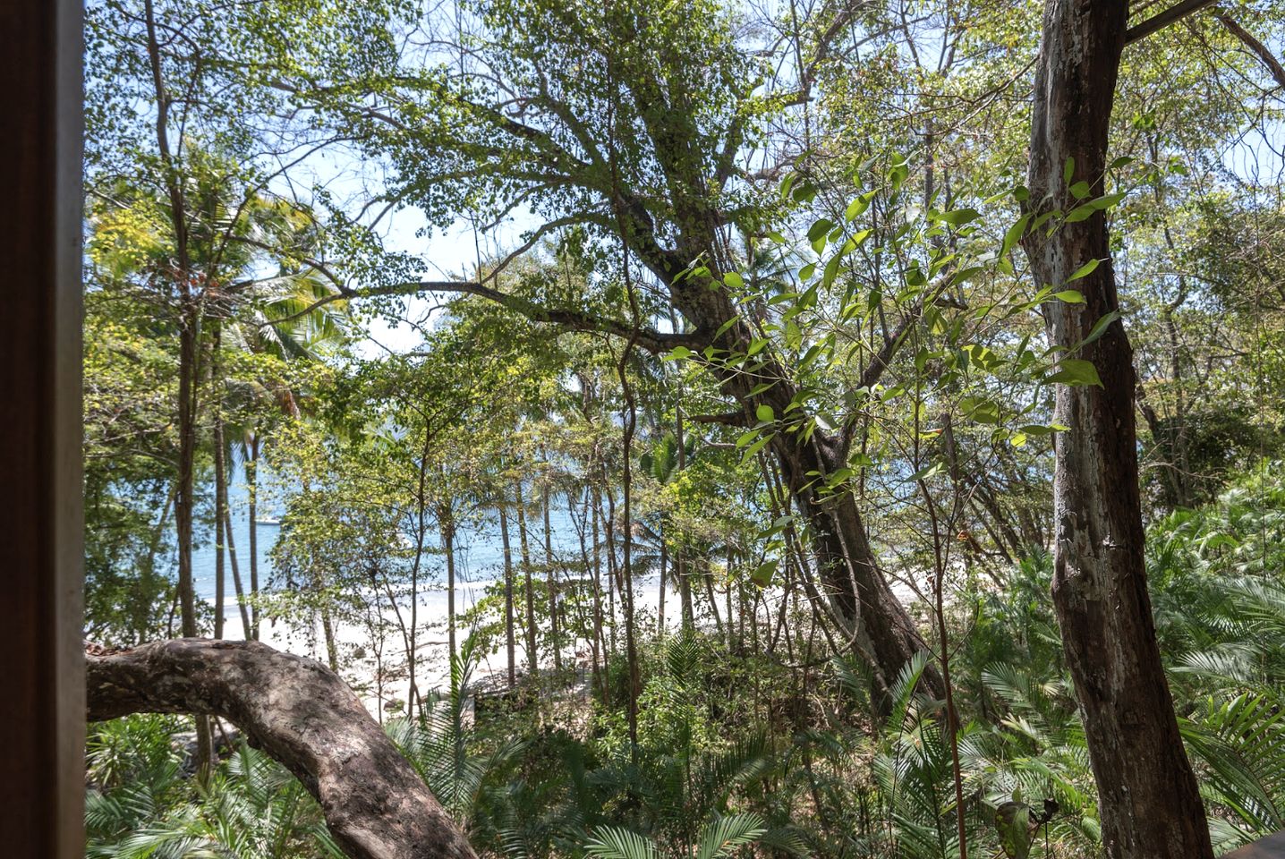 Eco-Friendly Glamping near Tambor Beach in Puntarenas, Costa Rica