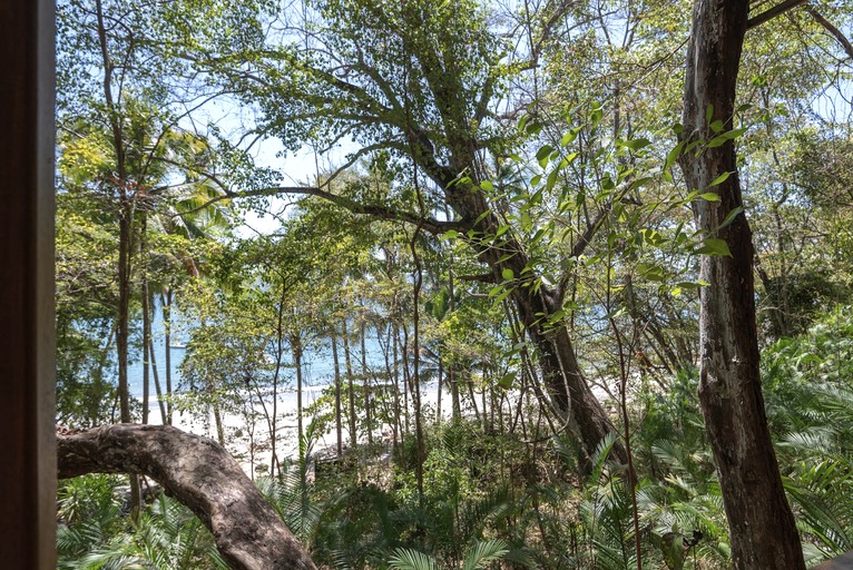 Safari Tents (Costa Rica, Puntarenas, Puntarenas)