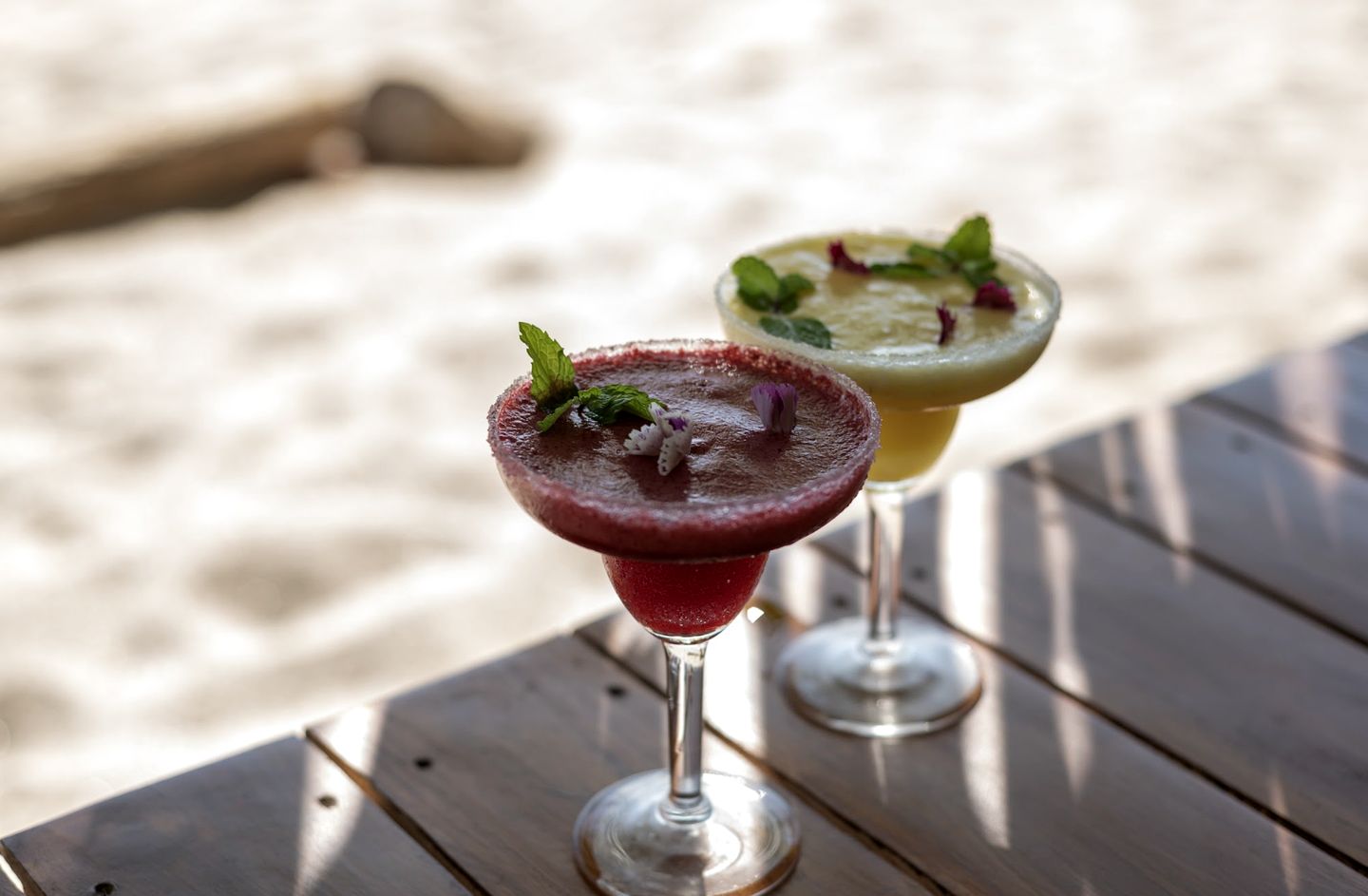 Eco-Friendly Glamping near Tambor Beach in Puntarenas, Costa Rica