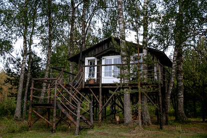 Charming Tree House Rental for a Romantic Holiday in Secluded Woodland near Vilnius, Lithuania photo 4