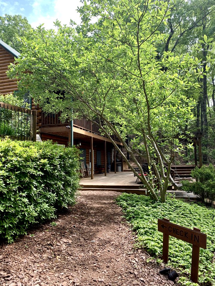 Woodland Log Cabin Rental in the Foothills of the Blue Ridge Mountains, Georgia