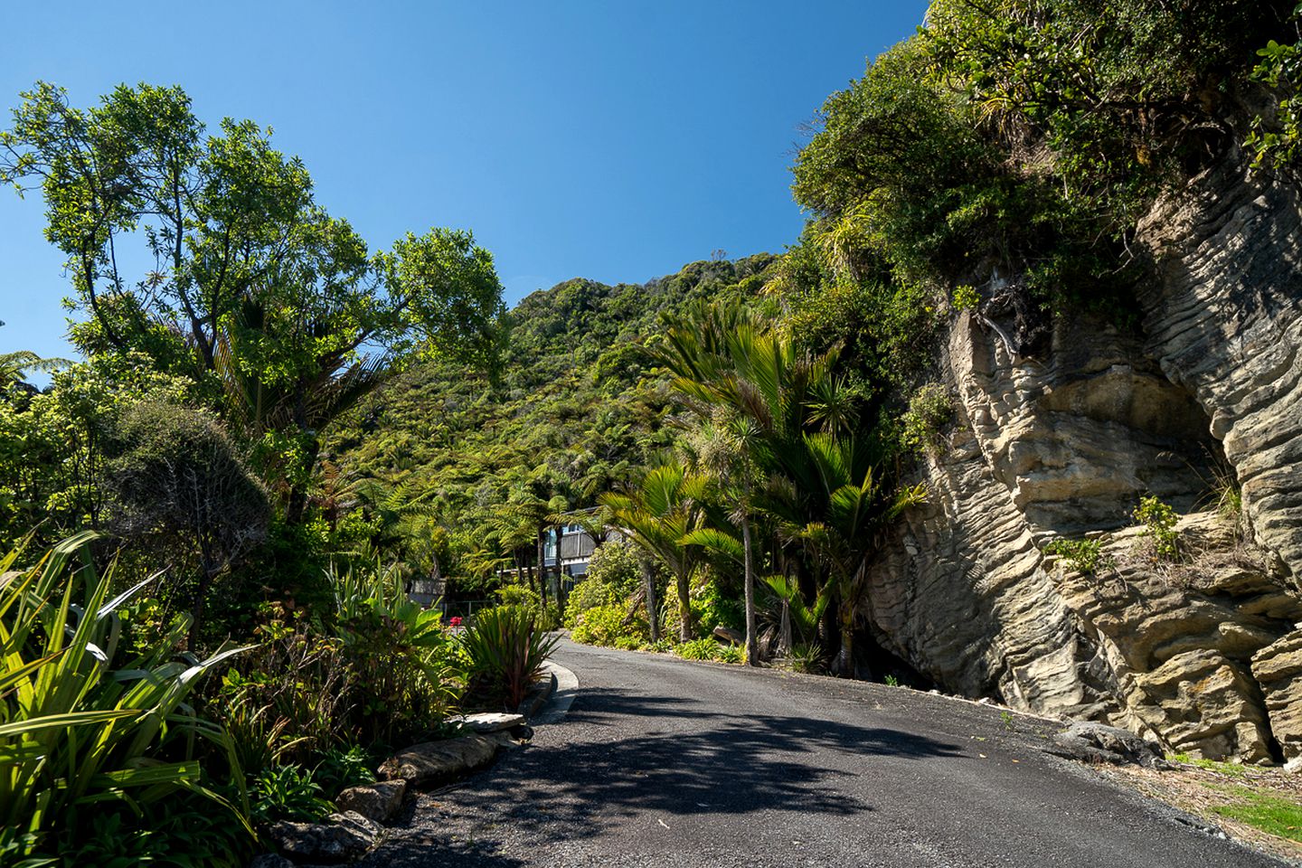 Lovely Suite in a Gorgeous Punakaiki Accommodation for South Island Holidays