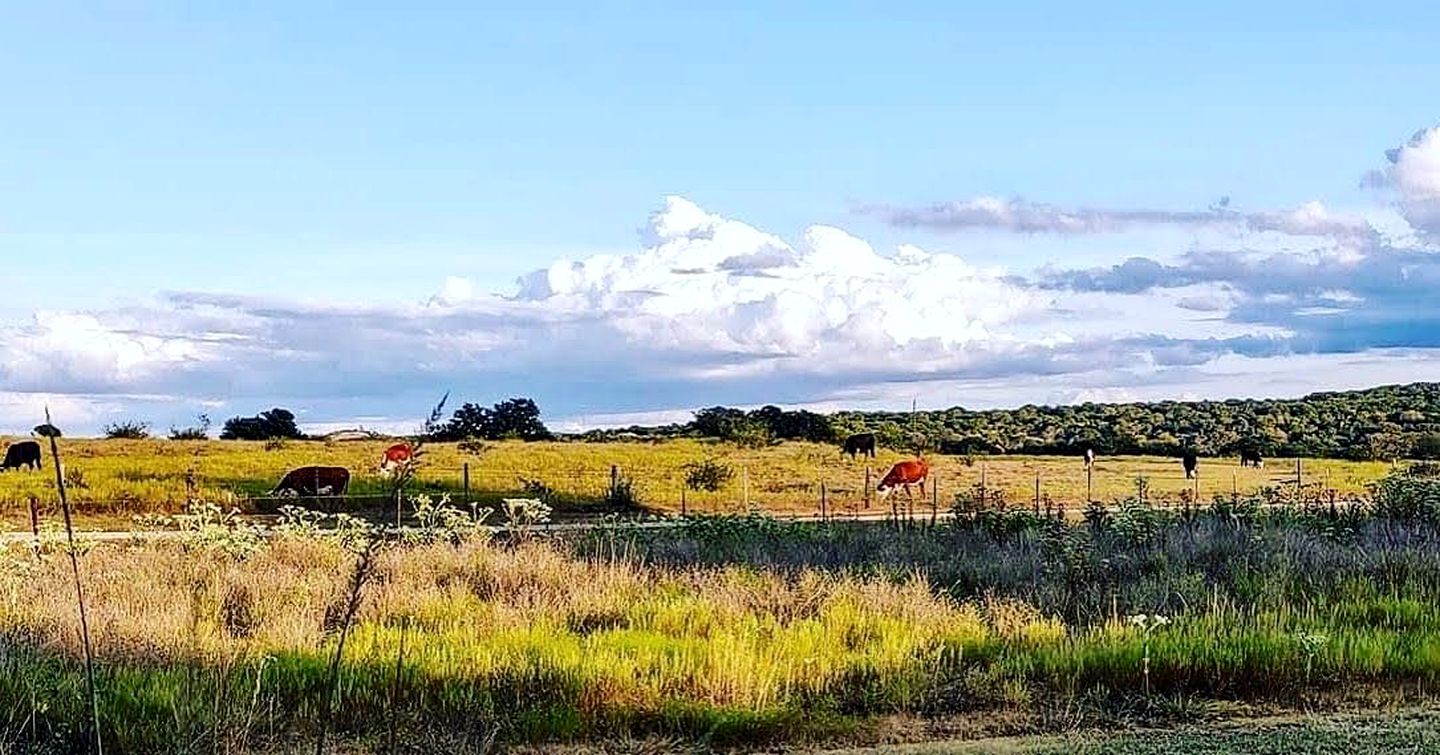 Beautiful and Spacious Texas Hill Country Cabin for Family Vacations in Texas