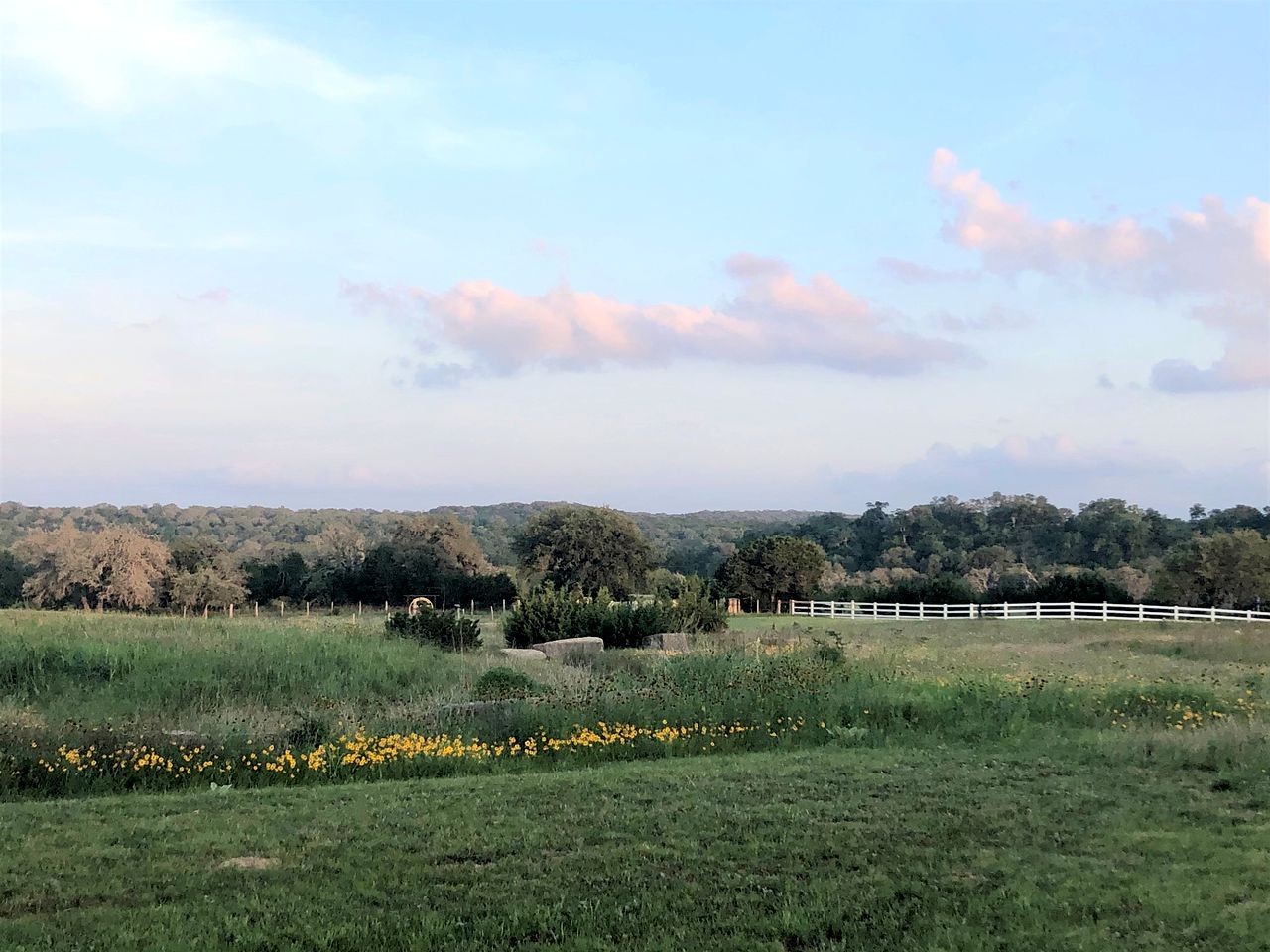 Charming Texas Hill Country Cottage near Austin for Romantic Getaways in Texas