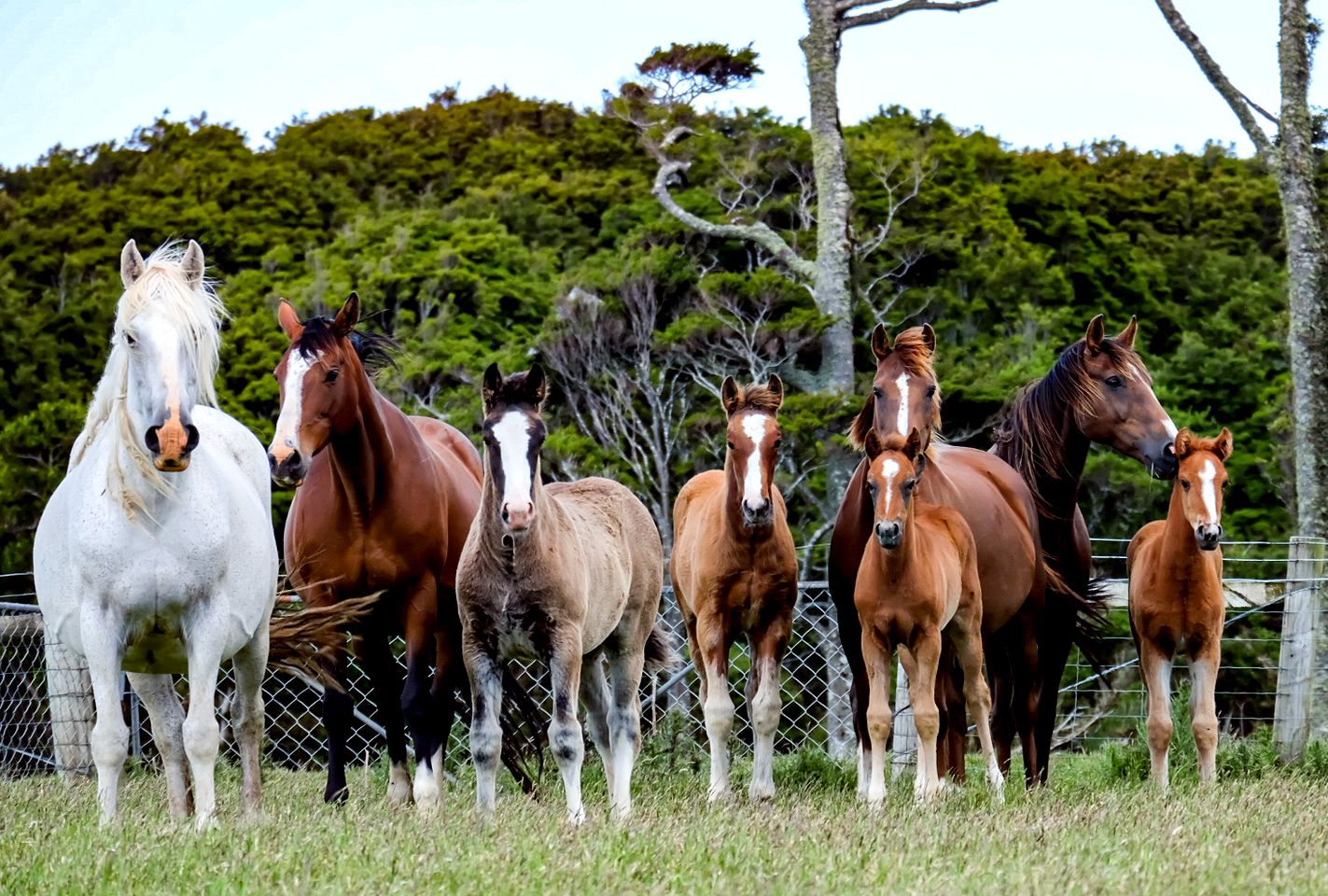 Boutique Catlins Accommodation in Puketiro for Romantic Getaways, South Island, NZ