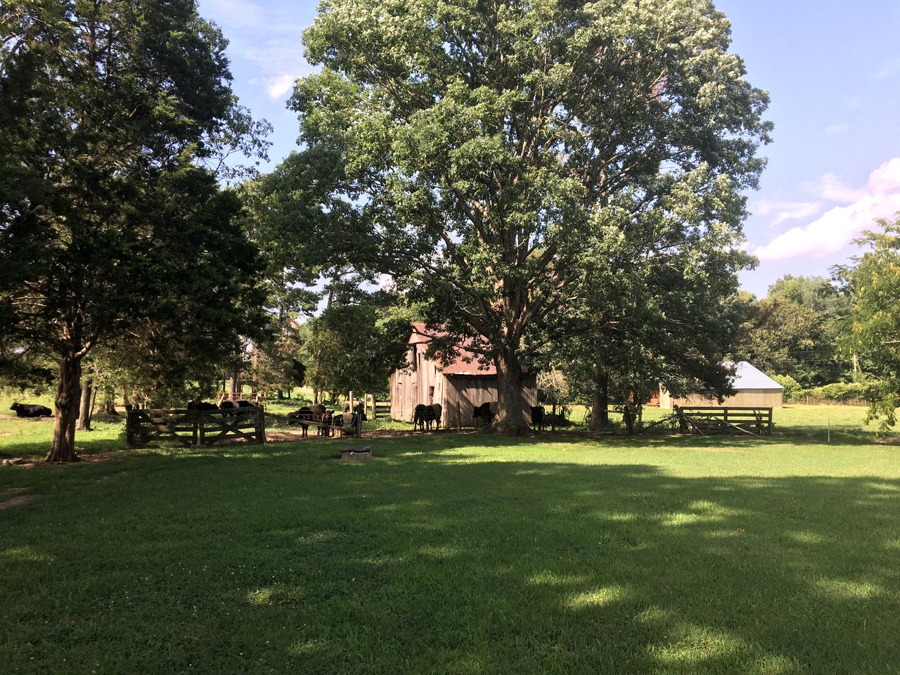 Historic Cottage Rental on a Stunning 400-Acre Farm in Wakefield, Virginia
