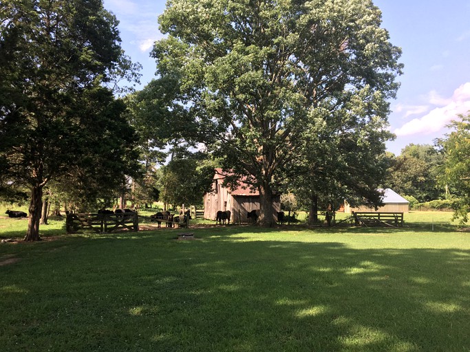 Cottages (Virginia, United States)