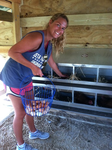 Cottages (Virginia, United States)