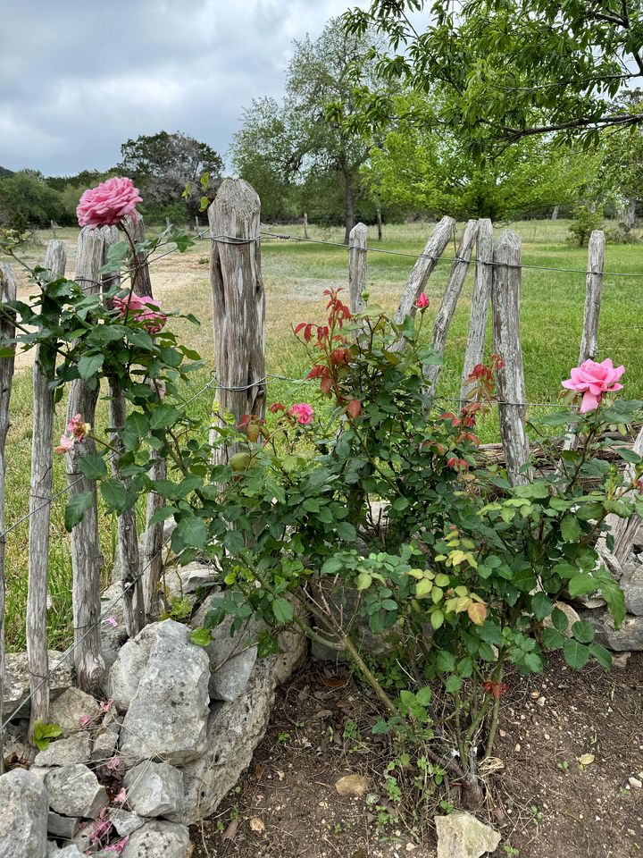 Intimate Bandera Cabin Rental for a Romantic Hill Country Getaway