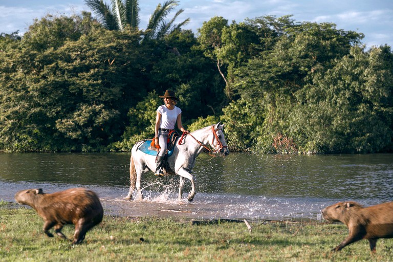 Safari Tents (San Luís de Palenque, Casanare, Colombia)