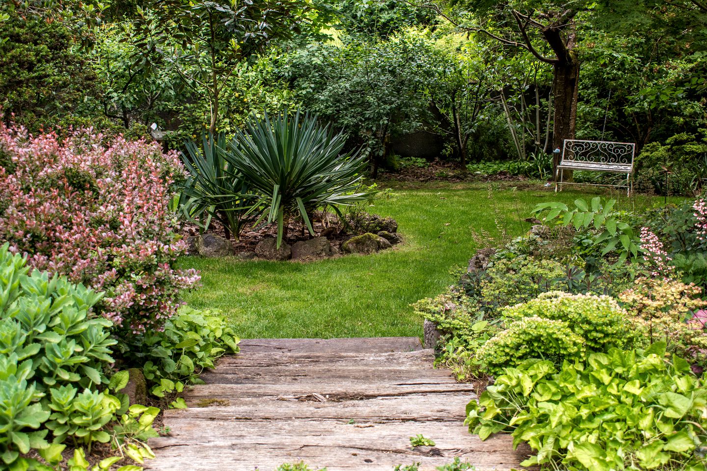 Stunning Dandenong Ranges Accommodation for Weekend Getaways from Melbourne