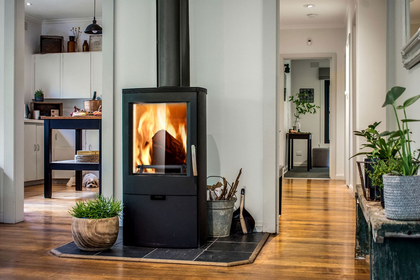 Stunning Dandenong Ranges Accommodation for Weekend Getaways from Melbourne