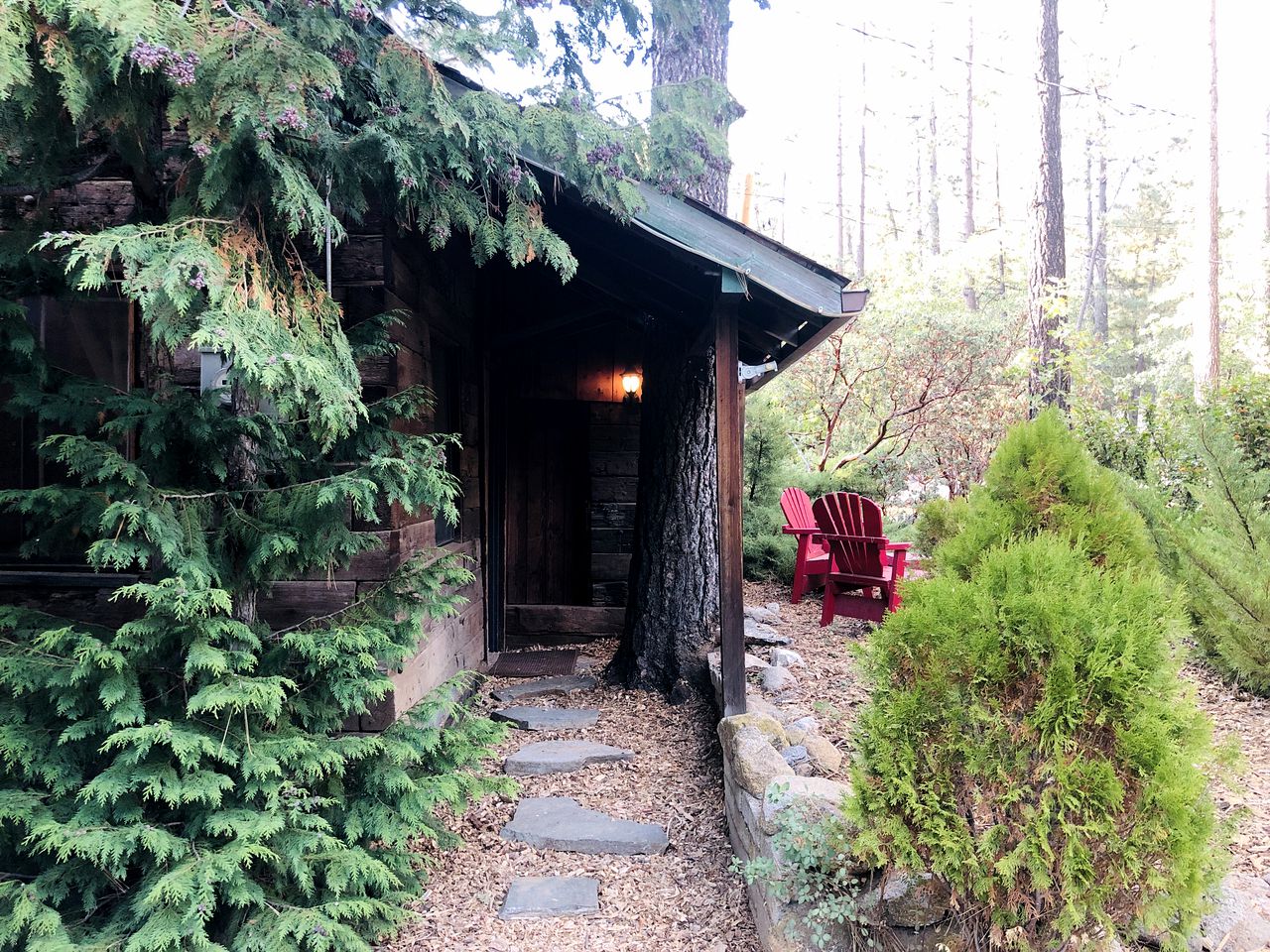 Gorgeous Idyllwild Cabin Perfect for Mountain Getaways from Los Angeles