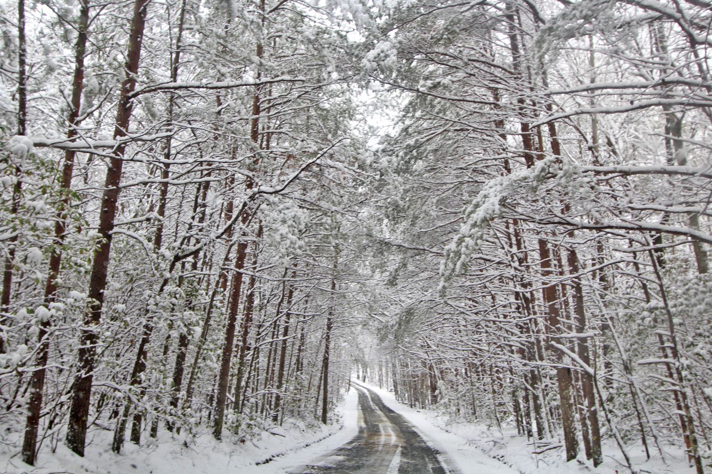 Fantastic Cabin Accommodation for Getaways near Chattahoochee National Forest, Georgia