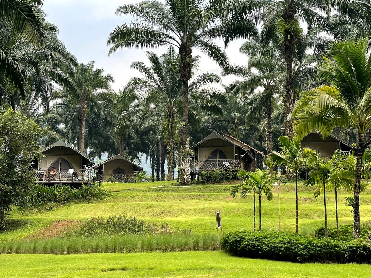 Luxury Retreat for a Glamping Experience near Khao Sok National Park in Thailand