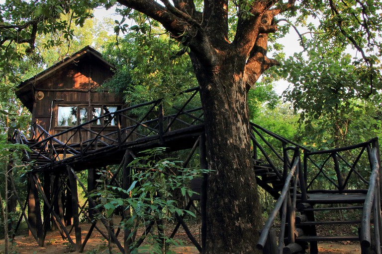 Fantastic tree house rental for glamping in India