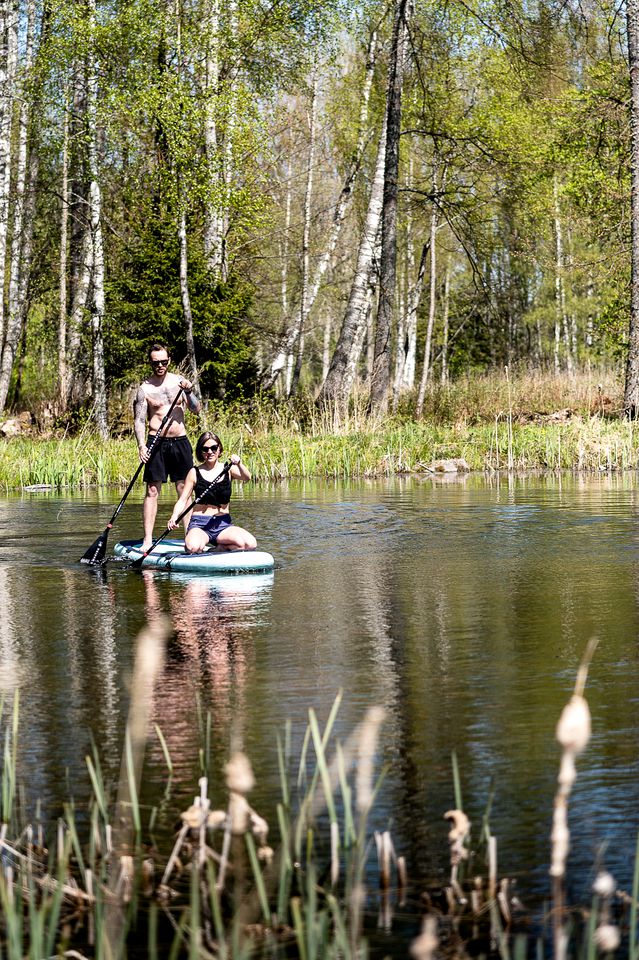 Wildness Collective Retreat and Studio - Wild Birch Cabin