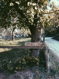 Secluded Herefordshire Glamping Retreat Ideal for a Getaway in England photo 4
