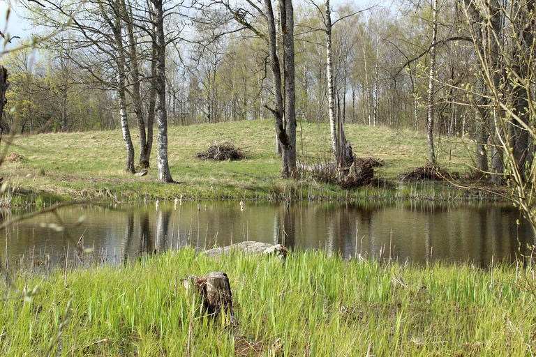Cabins (Lielstraupe, North Latvia, Latvia)