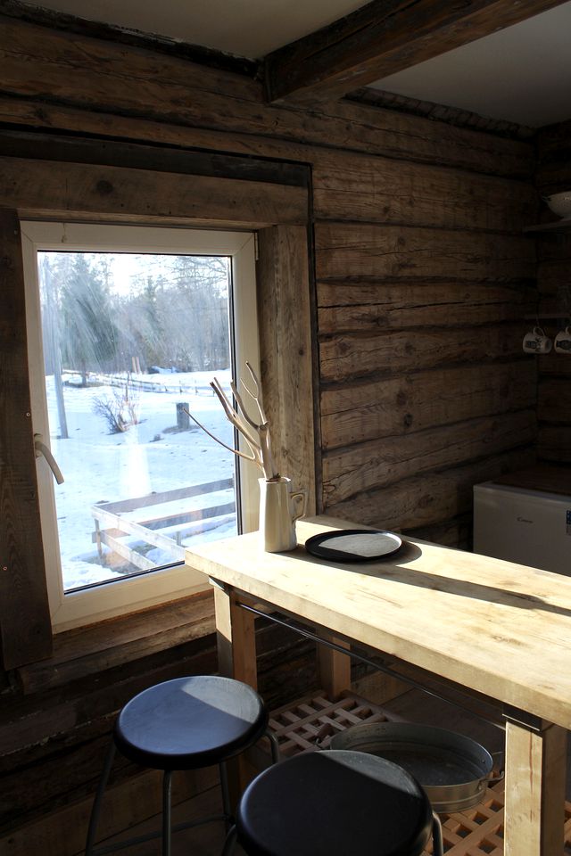 Wild'ness Retreat - Wild Moss Cabin