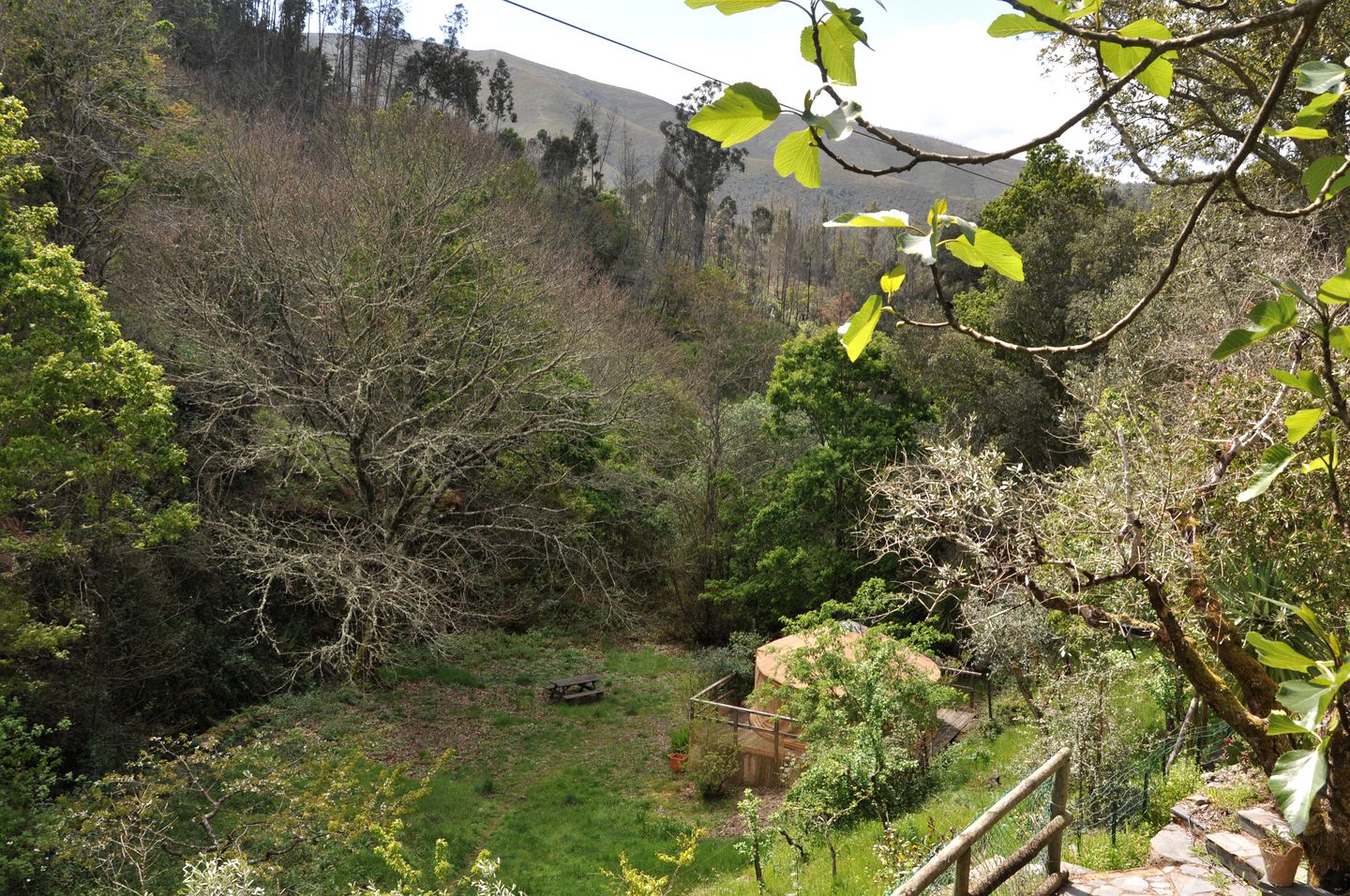 Magical Coimbra Accommodation for Glamping in Portugal