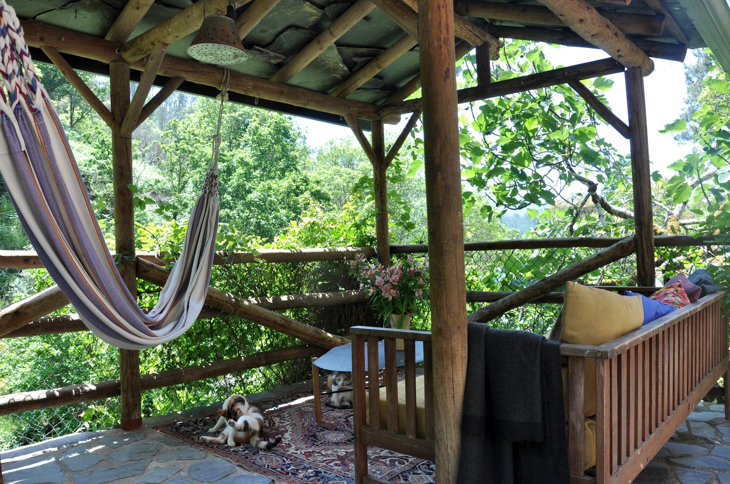 Magical Coimbra Accommodation for Glamping in Portugal