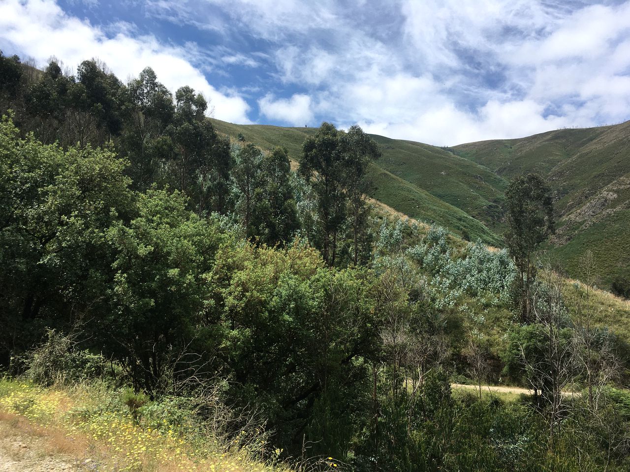 Magical Coimbra Accommodation for Glamping in Portugal