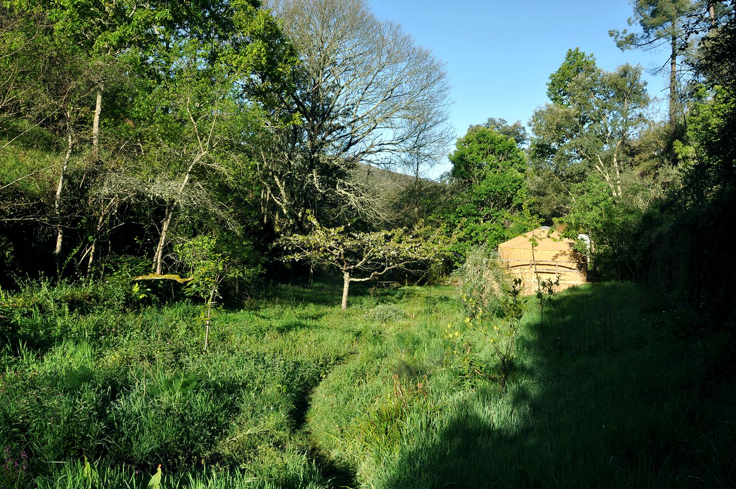 Magical Coimbra Accommodation for Glamping in Portugal