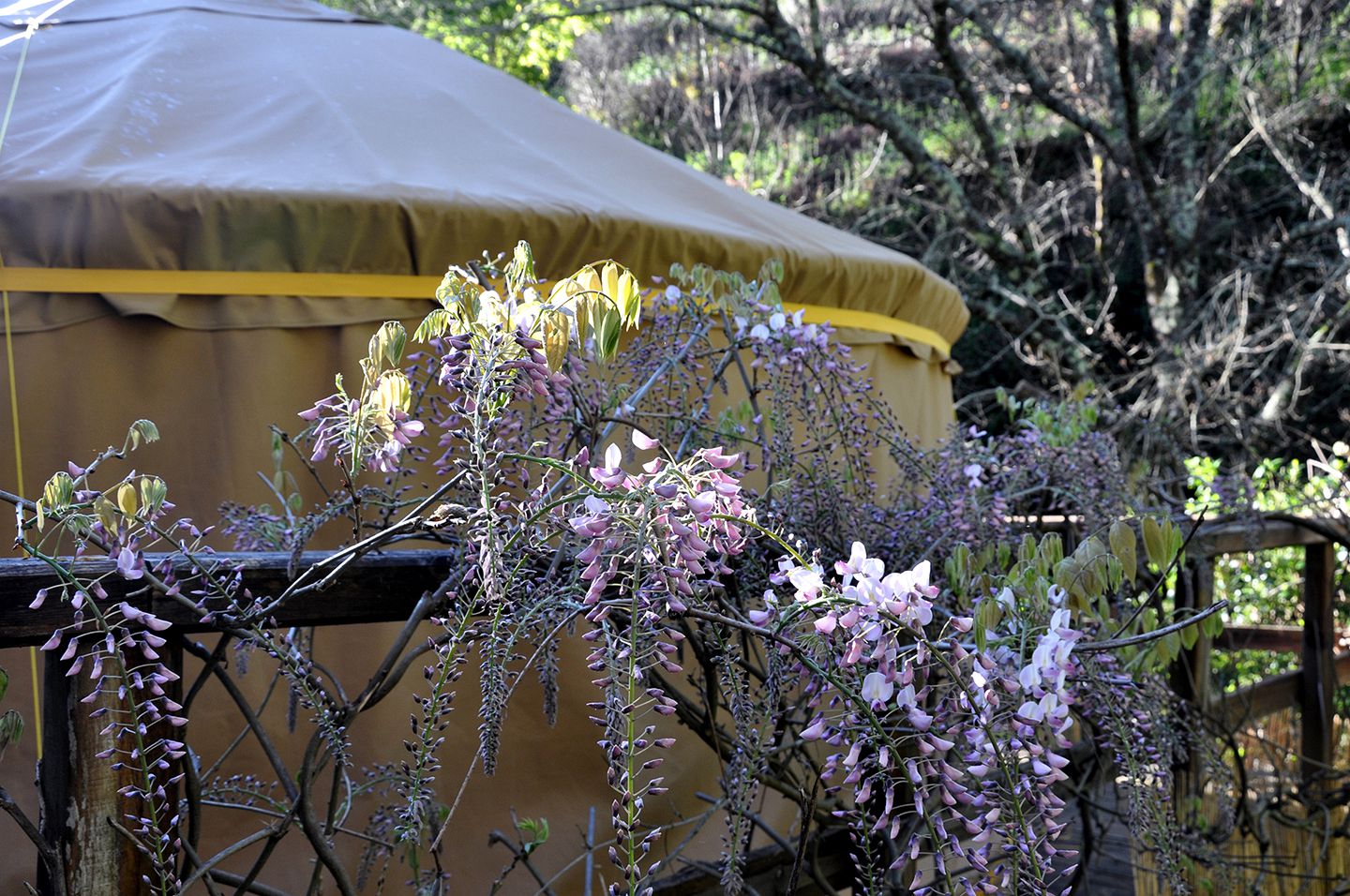 Magical Coimbra Accommodation for Glamping in Portugal