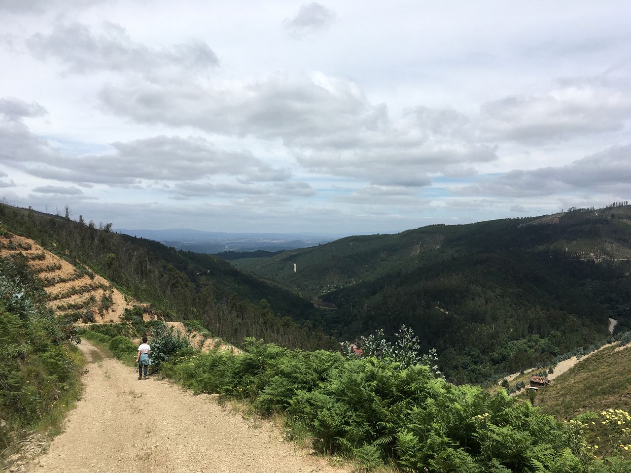 Magical Coimbra Accommodation for Glamping in Portugal